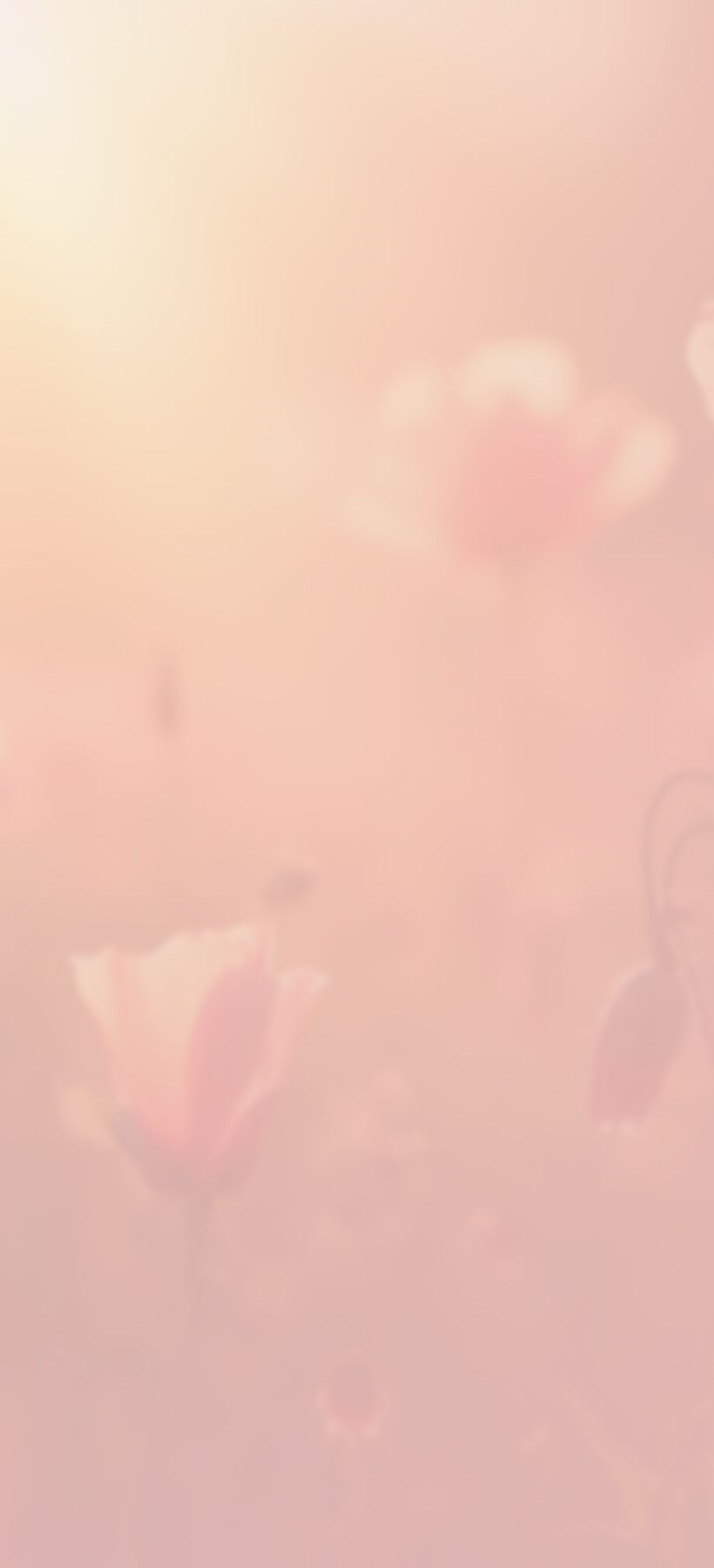 Fundo em tons suaves de rosa com flores delicadas e desfocadas ao fundo.